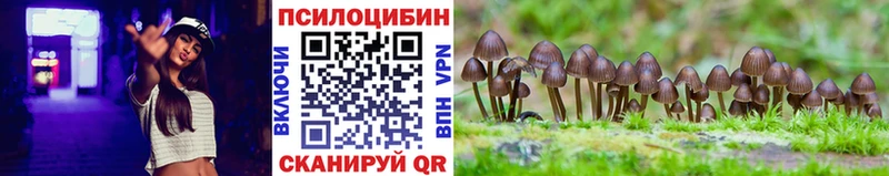 Галлюциногенные грибы MAGIC MUSHROOMS  Маркс 