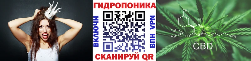 omg ссылка  Маркс  Канабис OG Kush 